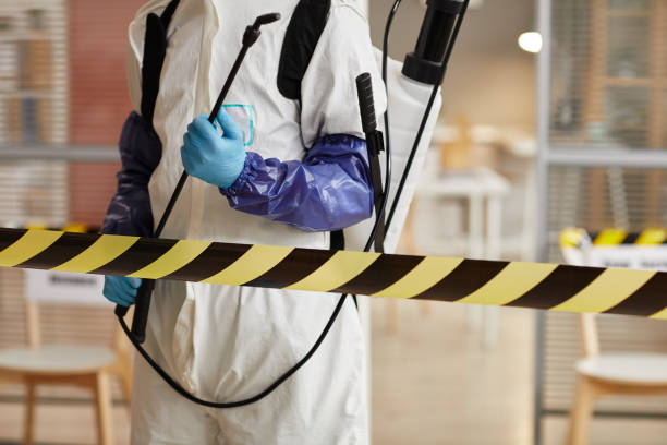 Professional Odor Removal technician working in Bozrah, CT