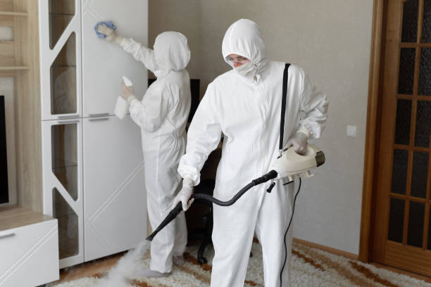 24/7 Emergency Odor Removal experts in Bozrah, CT