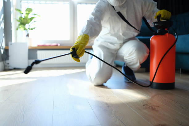 Reliable Odor Removal contractor in Bozrah, CT by Trauma Clean Pros